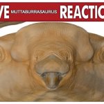 Live Muttaburrasaurus Reaction