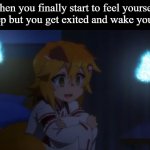 i want to sleep | when you finally start to feel yourself fall asleep but you get exited and wake your self up | image tagged in senko ptsd,sleep | made w/ Imgflip meme maker