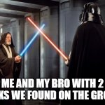 Star Wars duel | me and my bro with 2 sticks we found on the ground | image tagged in star wars duel | made w/ Imgflip meme maker