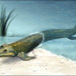 tiktaalik