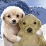 Puppies Hug meme