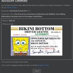 Banned from roblox (fake ID) | image tagged in banned from roblox fake id | made w/ Imgflip meme maker