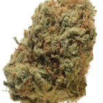 Weed