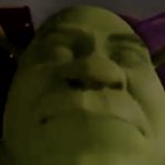 Shrek template