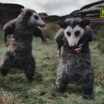 Nature Valley Opossums