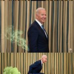 Biden farts