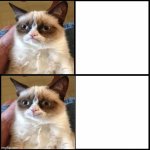 Grumpy cat drake meme