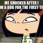 Dog Meme | Me Shocked After I Saw A Dog For The First Time | image tagged in shocked kitty | made w/ Imgflip meme maker