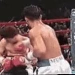 knock out GIF Template