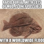 Flood fish