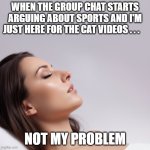 Not My Problem Groups Chats | When the group chat starts arguing about sports and I'm just here for the cat videos . . . not my problem | image tagged in not my problem,group chats,argument,videos | made w/ Imgflip meme maker