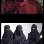 Handmaid's Tale and Muslims