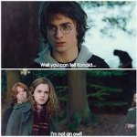 I am not an Owl