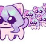 Big Cat Sashley and Mini Cat Sashleys