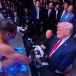 Donald Trump fancies Paolo Costa at UFC meme