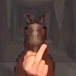 Horse flipping off