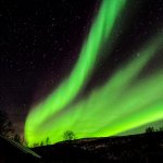 Aurora borealis Forked Magic