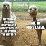 Alpaca | Me 10 mins later:; Me telling my mom I don't want a haircut because I like my hair the way it is: | image tagged in alpaca | made w/ Imgflip meme maker