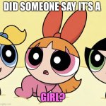 Did Someone Say It’s A Girl? | Did Someone Say It’s A; Girl? | image tagged in baby blossom | made w/ Imgflip meme maker