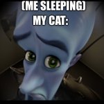 Megamind Peeking | (Me sleeping); My cat: | image tagged in megamind peeking,cats,sleep | made w/ Imgflip meme maker