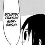 STUPID! TRASH! GARBAGE!