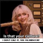 Sabrina Carpenter don't like it meme