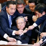 Japanese parliament 2