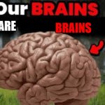 our brains are brains 2.0 | BRAINS; are | image tagged in our brains | made w/ Imgflip meme maker