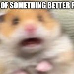 Better Life So Scary | me afraid of something better for myself | image tagged in screaming hampster | made w/ Imgflip meme maker
