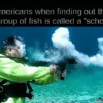 underwater | Americans when finding out that a group of fish is called a "school": | image tagged in gifs,funny,memes,relatable | made w/ Imgflip video-to-gif maker