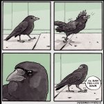 Crow Life