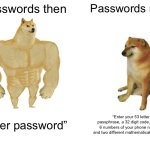 Passwords | Passwords then; Passwords now; “Enter password”; “Enter your 53 letter passphrase, a 32 digit code, the last 6 numbers of your phone number, and two different mathematical formulas” | image tagged in memes,buff doge vs cheems | made w/ Imgflip meme maker