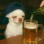 Beer
