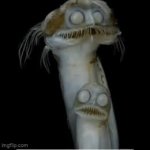 Telescope fish GIF Template