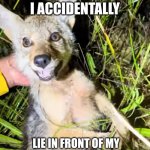 I found this in a Youtube video | POV ME When I accidentally; lie in front of my mom and she knows its fake | image tagged in coyote | made w/ Imgflip meme maker