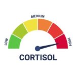 high cortisol