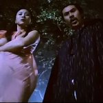 King & Queen of Shaolin