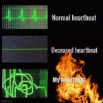 heartbeat rate | My heartbeat | image tagged in heartbeat rate | made w/ Imgflip meme maker