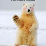 hey friends could you like my meme or whatever? | 🤪 hi! 🤪 
i'm new here; could you pls like and comment🥺 | image tagged in hello polar bear,pls like | made w/ Imgflip meme maker