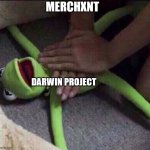 Merchant reviving darwin project | merchxnt; Darwin project | image tagged in revival kermit | made w/ Imgflip meme maker