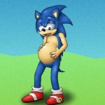 Preg sonic