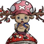 Tony Tony Chopper The Mushroom Devil Fruit User