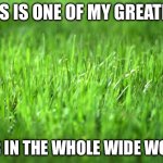 Grass | This is one of my greatest; Fear in the whole wide world | image tagged in grass is greener,fear | made w/ Imgflip meme maker