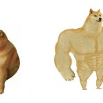 Cheems & buff doge (reversed)