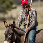 Damo Don Quixote donkey spear