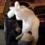 Easter Bunny Beat Down