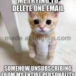ME TRYING TO DELETE ONE EMAIL; SOMEHOW UNSUBSCRIBING FROM MY ENTIRE PERSONALITY | ME TRYING TO DELETE ONE EMAIL; SOMEHOW UNSUBSCRIBING FROM MY ENTIRE PERSONALITY | image tagged in memes,cute cat,remix,personality,email,unsubscribe | made w/ Imgflip meme maker
