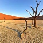 desert