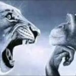 stupid lion, smart monkey