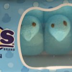 Blue peeps